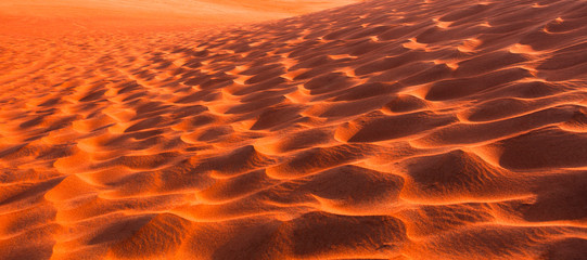 desert dunes in the sand at sunset