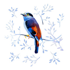 Gouache blue forest bird on a branch with natural elements