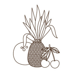 delicious tropical fruits of summer on white background