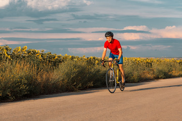 A cyclist rides on a road bike along fields of sunflowers.