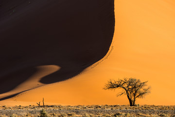 Dunes at Sossusvlei, Namibia