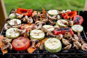  Healthy food preparing outdoors on summer or spring picnic. Grilled vegetables on grill on coals. Barbecue picnic on a meadow