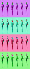 Crazy pop art colorful ultraviolet wallpaper with ara parrots (photo) modern pattern 