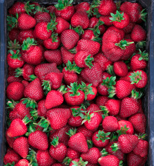 big box With red Strawberries