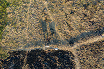 The cows go back home after evening take photo by drone 