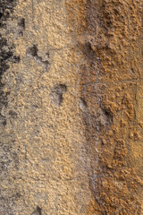 Yellowish Old Weathered Concrete Wall Texture