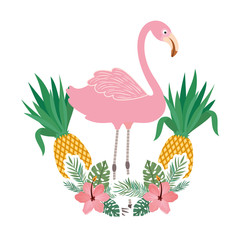 flemish and summer flower in white background