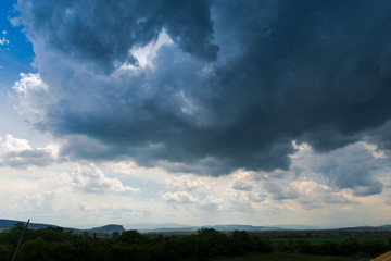 Summer landscape