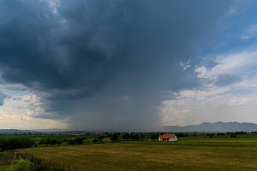 Naklejka premium Summer landscape