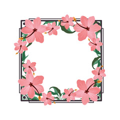 frame with flower and leafs of summer