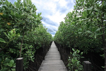 Tungpongthong 9 : Nature Preserve in Klaeng Rayong Thailand