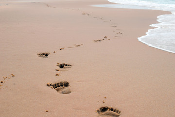 Footprints on the beach. Ocean waves at the sunset.