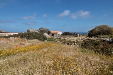 Fototapeta na wymiar Zona Tamburino Asinara