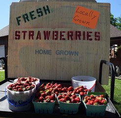 Produce Market Sign