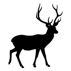High quality vector illustration of an adult male deer with beautiful antlers - silhouette isolated on white background