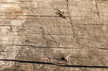 The texture of rustic old wood