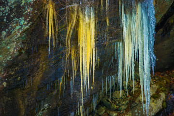 Icicles inside of the forest