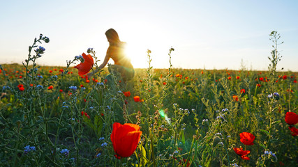 Girl on the poppy fields. Red flowers with green stems, huge fields. Bright sun rays. Closer to sunset. Photo shoot model. Large flower buds. Blue sky and white clouds.