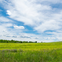 Tranquil scenic view of green grass field and white cloudy sky