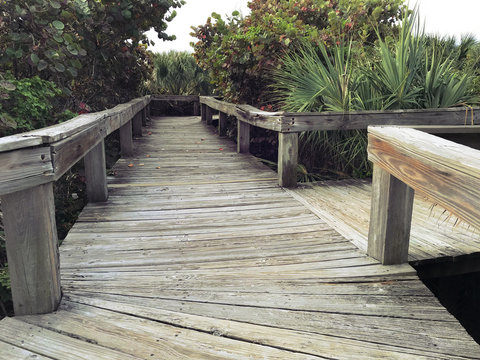 Beach Wood Deck. Photo image