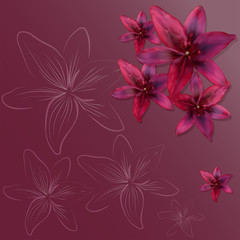 Color Realistic Blossom Flower Lily