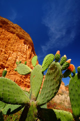 Red rocks on the Praia da Falesia - Falesia beach in Algarve, Portugal.