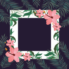 frame with flower and leafs of summer