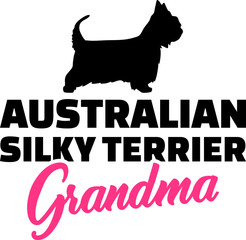 Australian Silky Terrier Grandma with silhouette