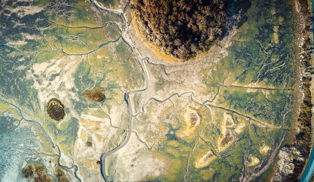 Aerial view of a marshes