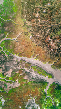 Aerial view of a marshes
