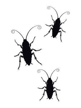 Set of Cockroach silhouette icon isolated on white background. Vector image. Illustration of insect symbol, beauty