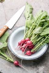 Fresh bunch of radish on concrete background