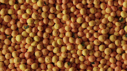 Top View of Tangerines 3D Rendering