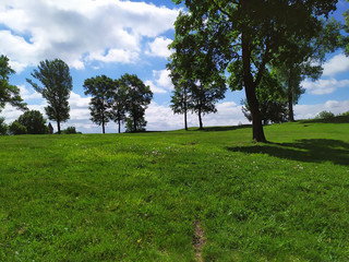 Bright beautiful lawn, lawn, green grass, large trees, shade, in nature, in summer, on a bright sunny day, screen saver for a computer.