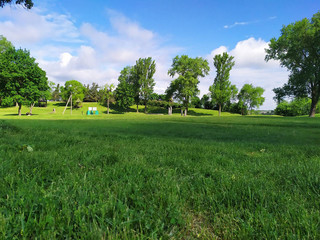 Bright beautiful lawn, lawn, green grass, large trees, shade, in nature, in summer, on a bright sunny day, screen saver for a computer.