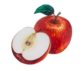 Apple picture and painted with watercolor.