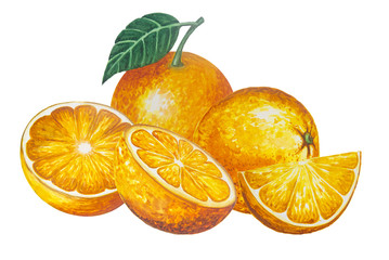 A set of hand drawn watercolor oranges fruit painting on white background