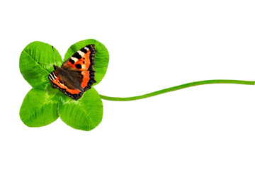 Vierblättriges Kleeblatt mit Schmetterling