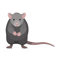 Cartoon gray rat vector illustration. Cute sitting rat isolated on white background.