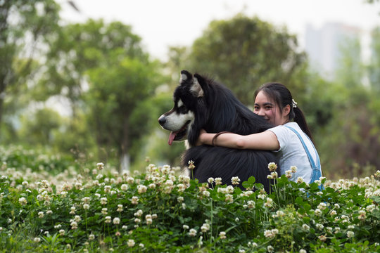 Young Asian Woman With Her Dog Outdoor