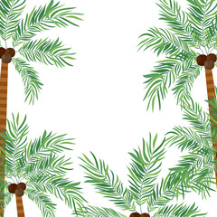 Naklejka na ściany i meble pattern of palm tree with coconut in white background