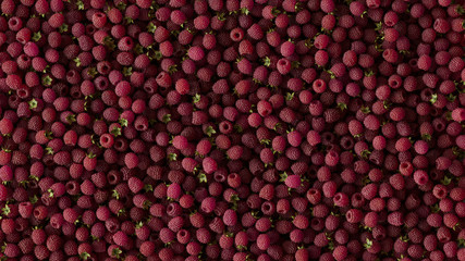 Top View of Raspberries 3D Rendering