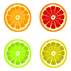 Set of citrus vector design illustration isolated on white background