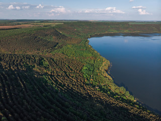 Young trees, plantations on the slopes. Aerial view on the Dniester Canyon, River, Bakota Bay in National Park Podilski Tovtry. Ukraine.