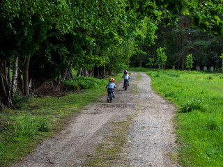 OLYMPUS DIGITAL CAMERA - CEMETERY 