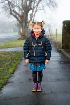 Cute young girl with pig tails, looking at camera.