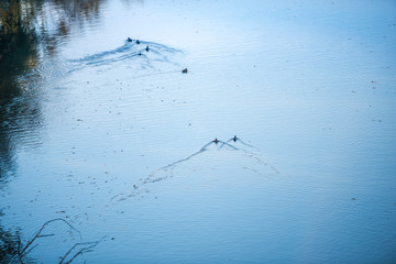 Landscape by the river in autumn