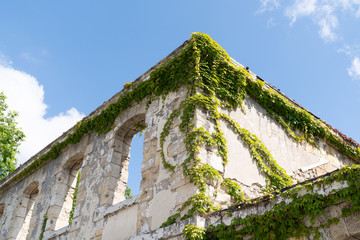 Ruins ruined house without roof with vegetation