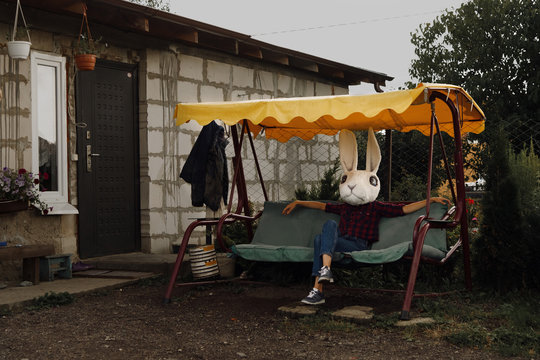 Halloween rabbit sitting on swing