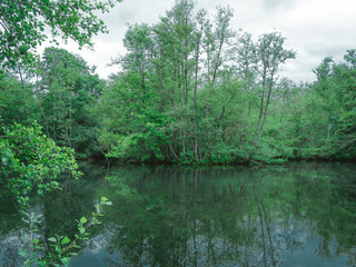 Lac et Forêt